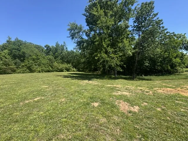 479 Horseshoe Bend Rd Linden, TN 37096