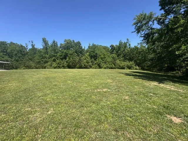 479 Horseshoe Bend Rd Linden, TN 37096