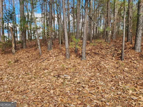 91 Cannon Ridge View