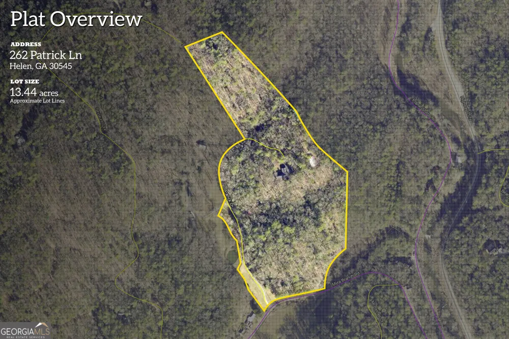 262 Patrick Ln Helen, GA 30545
