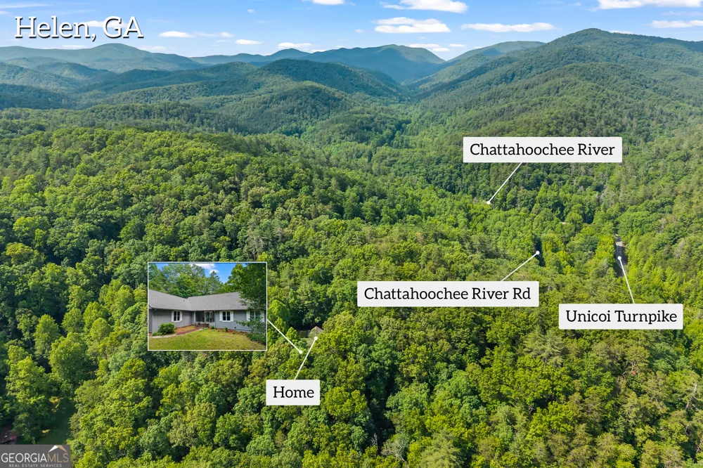 262 Patrick Ln Helen, GA 30545