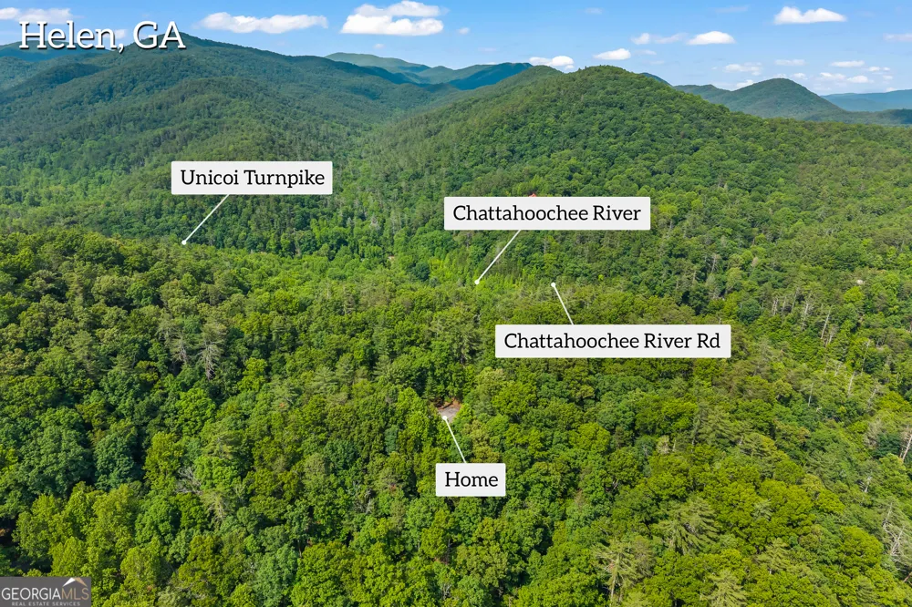 262 Patrick Ln Helen, GA 30545