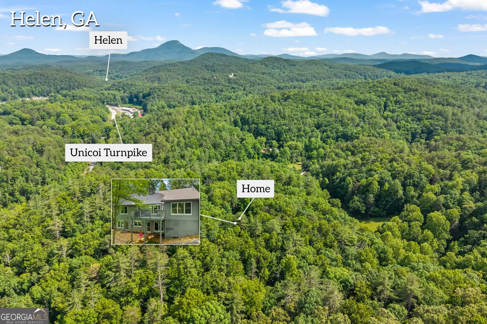 262 Patrick Ln Helen, GA 30545