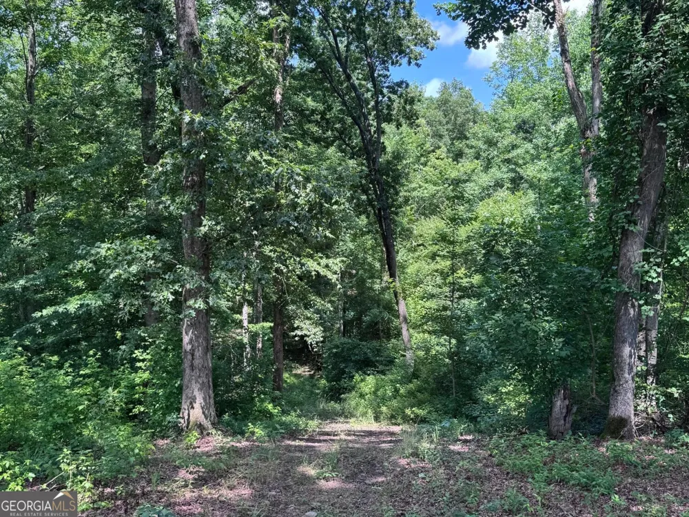 427 Dripping Rock RD Molena, GA 30258