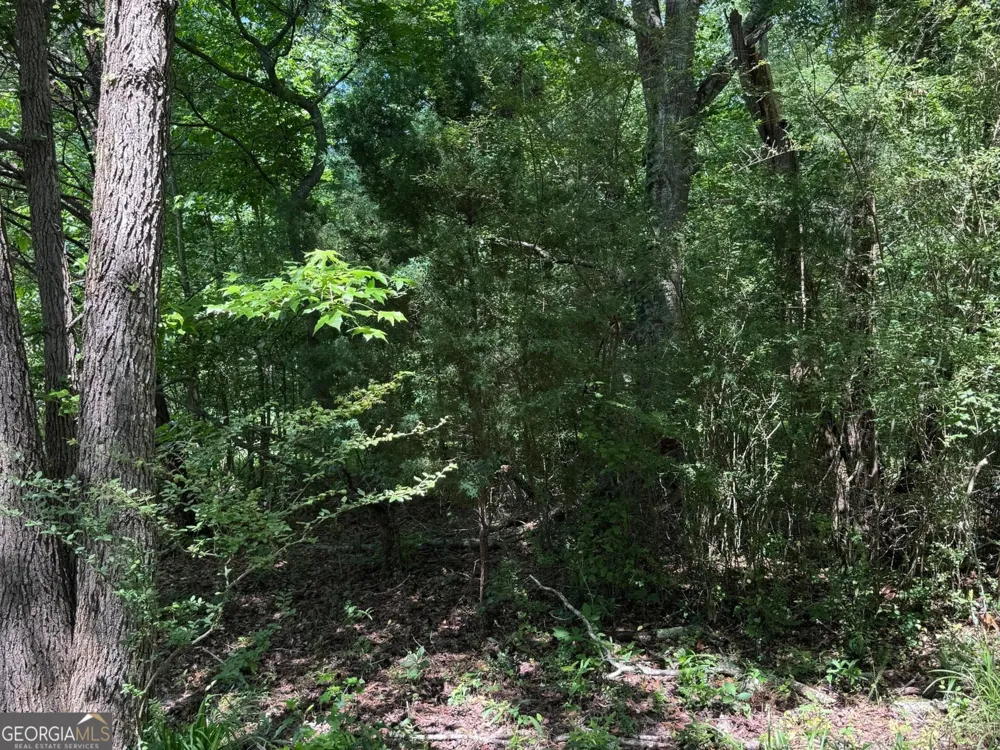427 Dripping Rock RD Molena, GA 30258