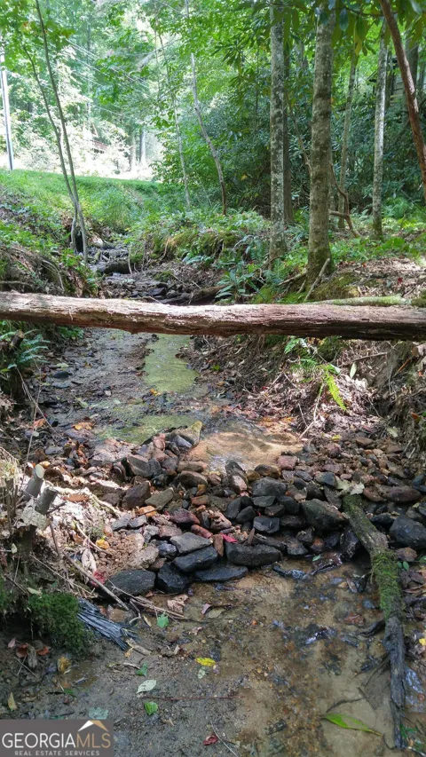 0 LOT 8 Bald Mountain RD