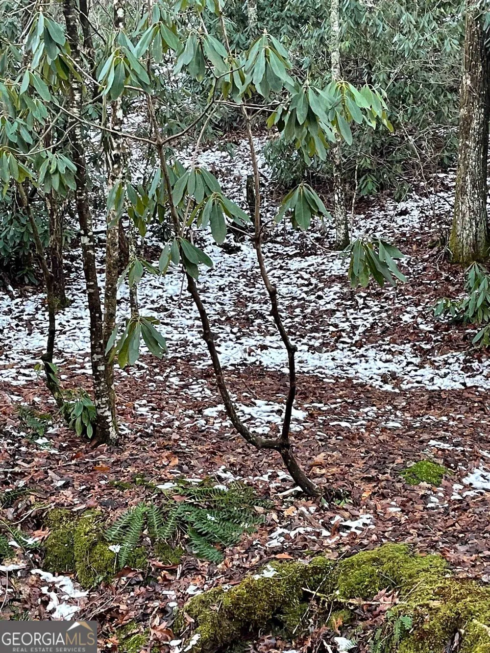 0 LOT 8 Bald Mountain RD Sky Valley, GA 30537