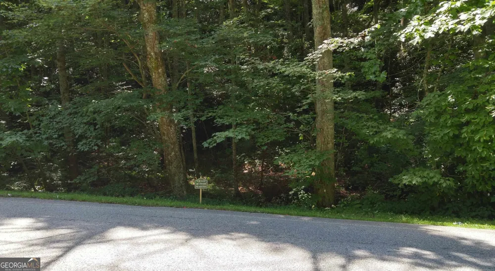 0 LOT 8 Bald Mountain RD Sky Valley, GA 30537