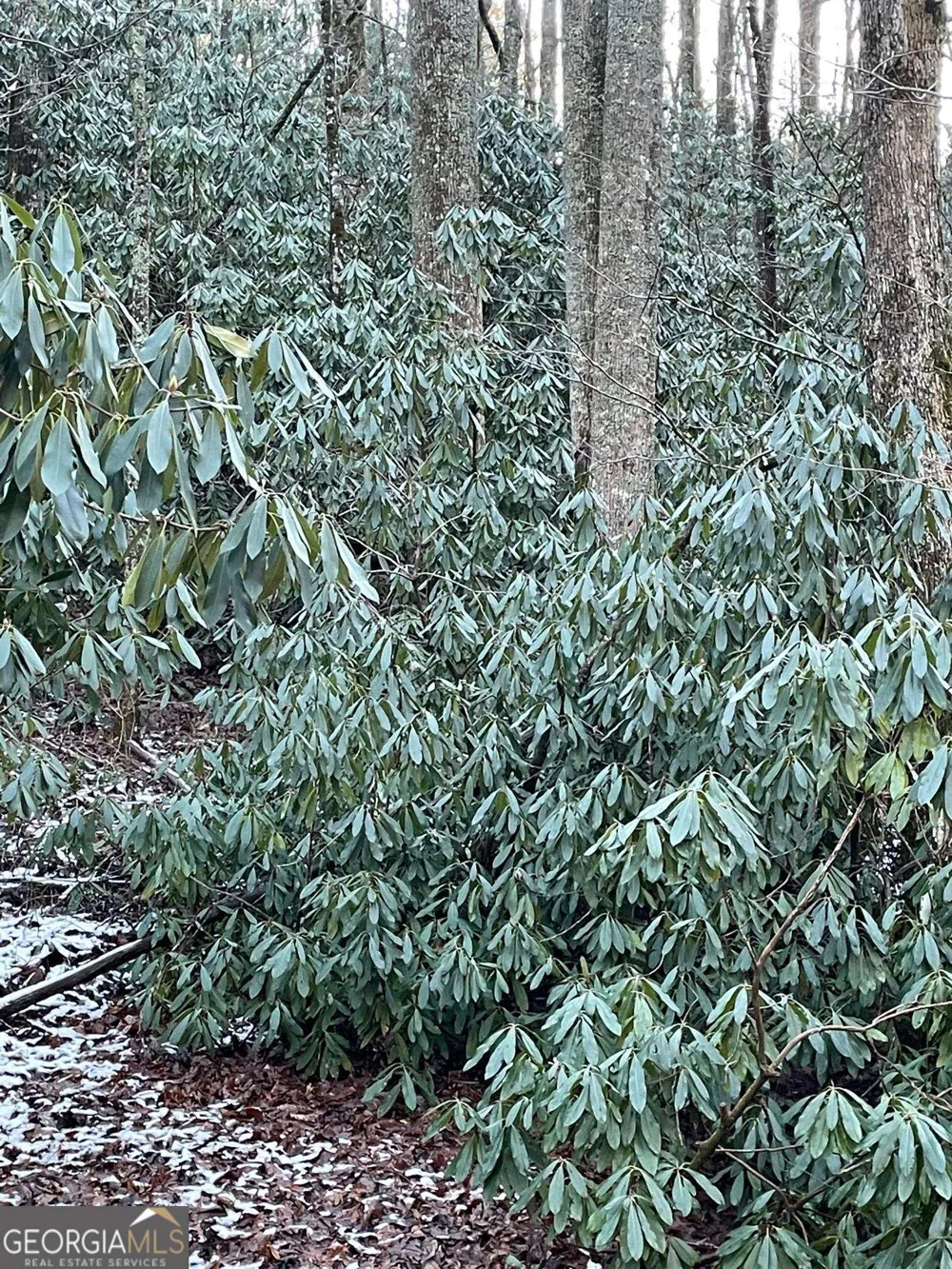 0 LOT 8 Bald Mountain RD Sky Valley, GA 30537