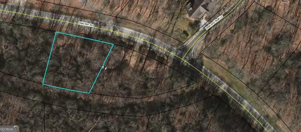 0 LOT 8 Bald Mountain RD Sky Valley, GA 30537