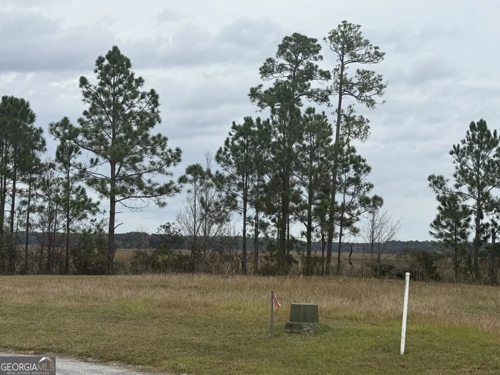 316 Bateau DR St. Marys, GA 31558