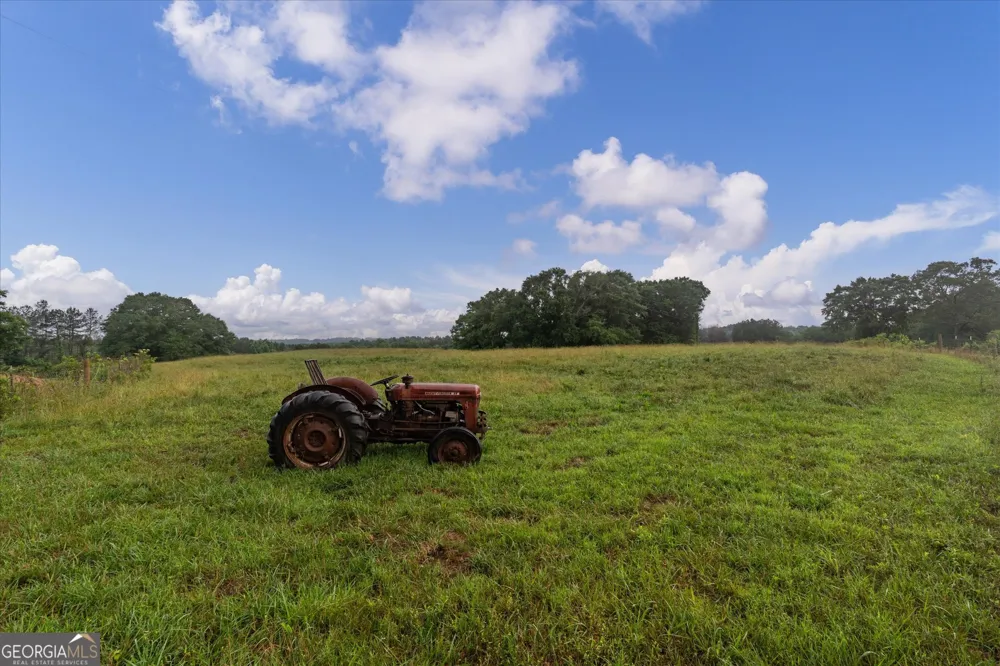 1461 County Road 499 Woodland, AL 36280