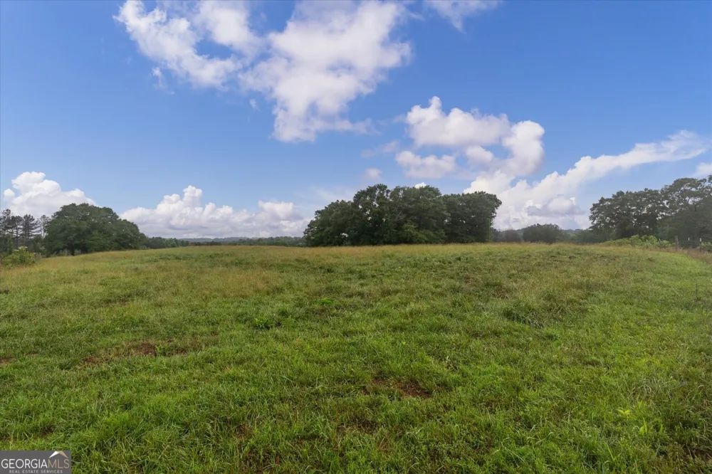 1461 County Road 499 Woodland, AL 36280