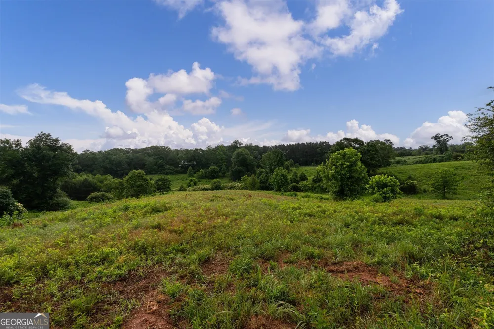 1461 County Road 499 Woodland, AL 36280