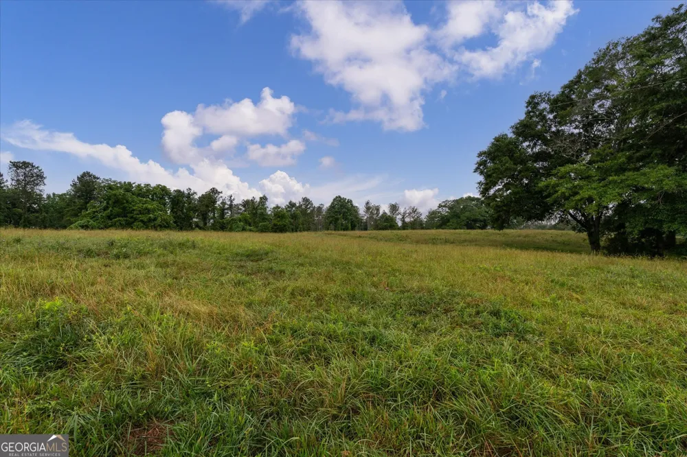 1461 County Road 499 Woodland, AL 36280