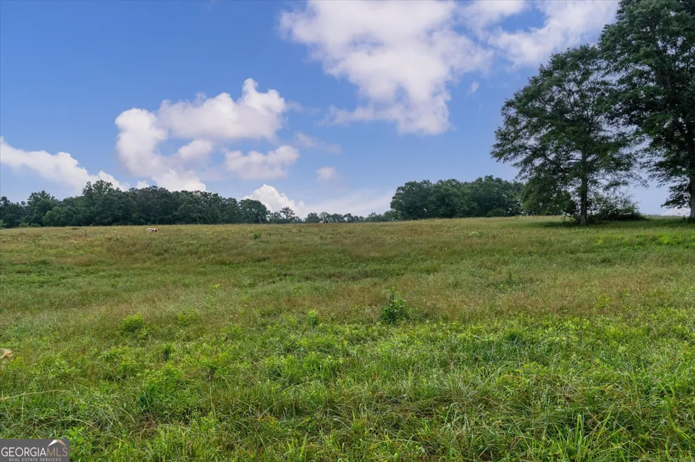 1461 County Road 499 Woodland, AL 36280