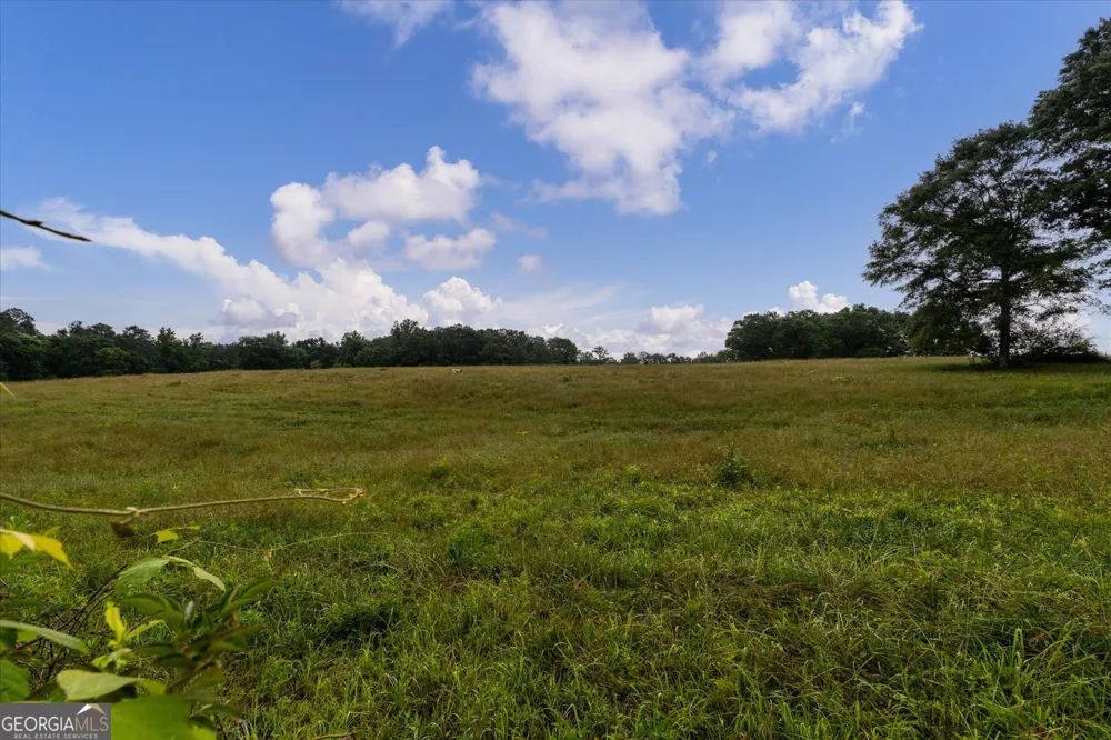 1461 County Road 499 Woodland, AL 36280