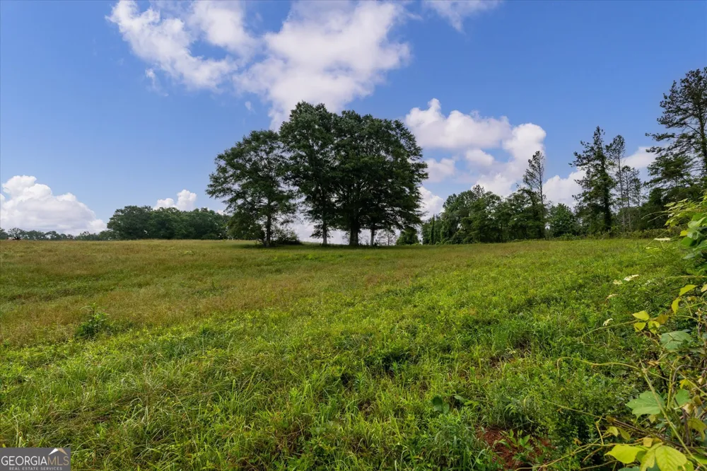 1461 County Road 499 Woodland, AL 36280