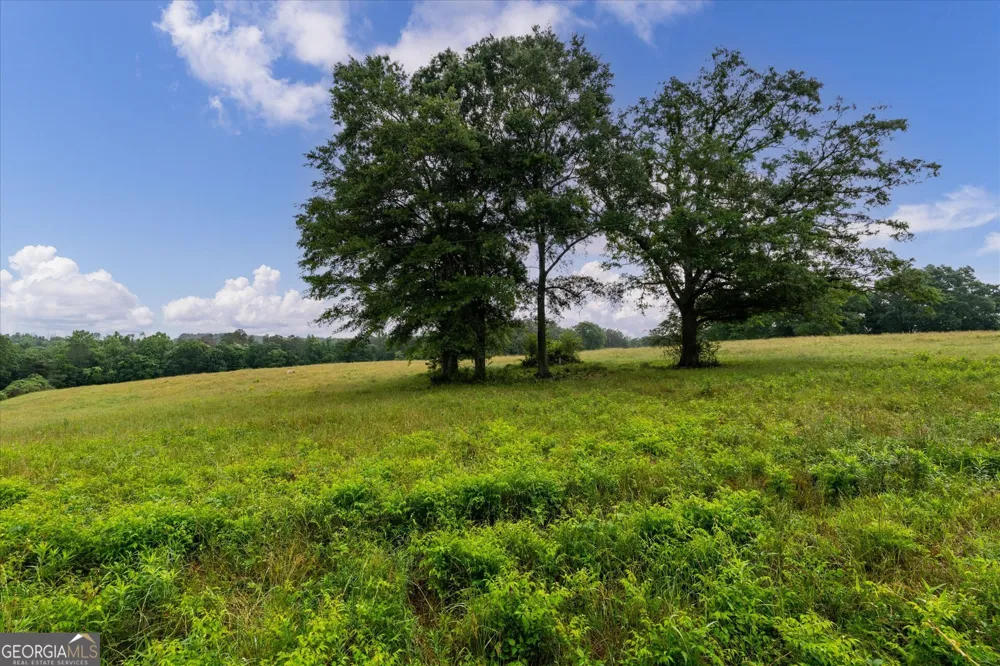 1461 County Road 499 Woodland, AL 36280