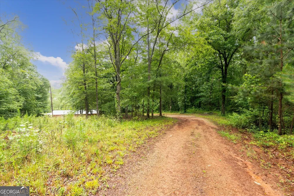 1461 County Road 499 Woodland, AL 36280