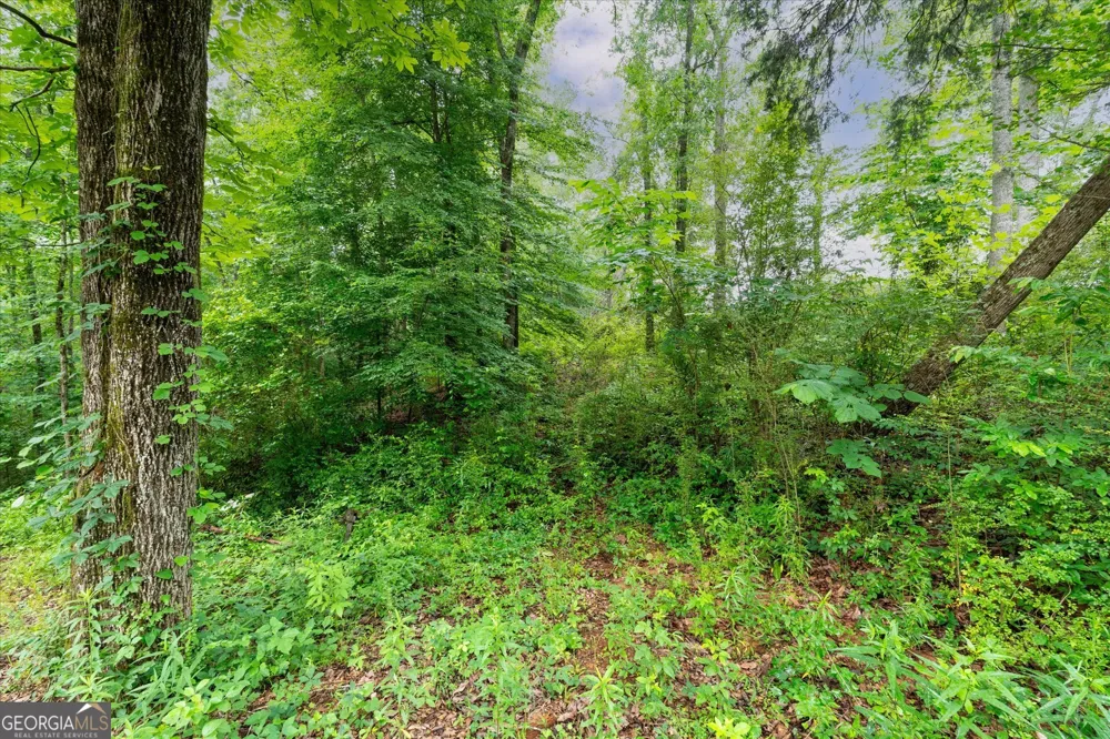 1461 County Road 499 Woodland, AL 36280