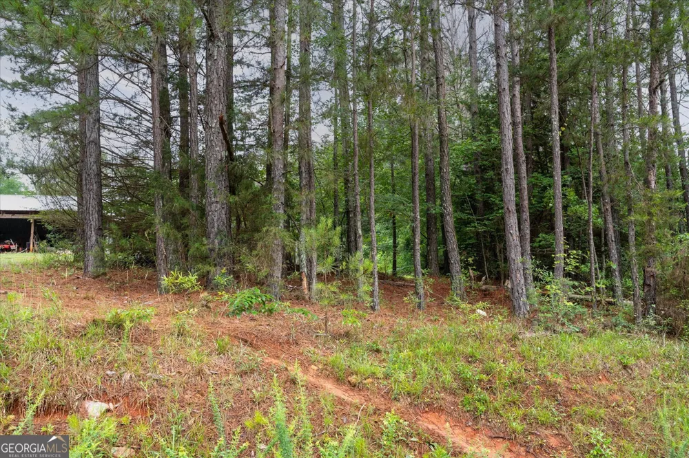 1461 County Road 499 Woodland, AL 36280