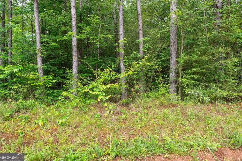 1461 County Road 499 Woodland, AL 36280