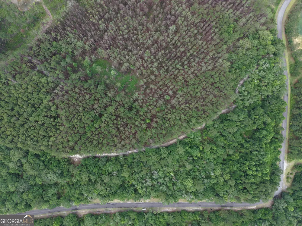 LOT 56 Waverly LN White Oak, GA 31568