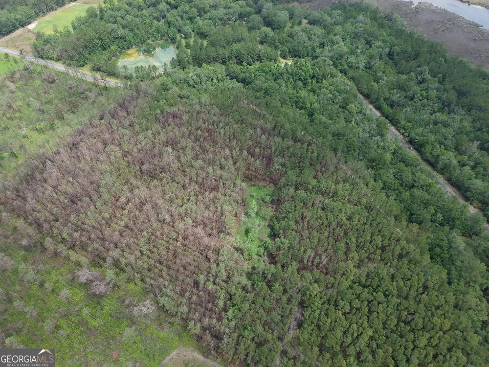 LOT 56 Waverly LN White Oak, GA 31568
