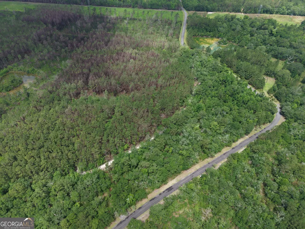 LOT 56 Waverly LN White Oak, GA 31568
