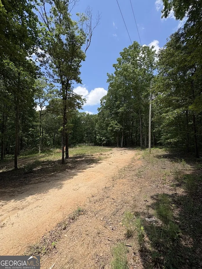 4492 U.S. 78 Tallapoosa, GA 30176