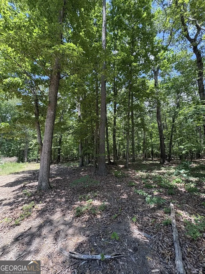 4492 U.S. 78 Tallapoosa, GA 30176