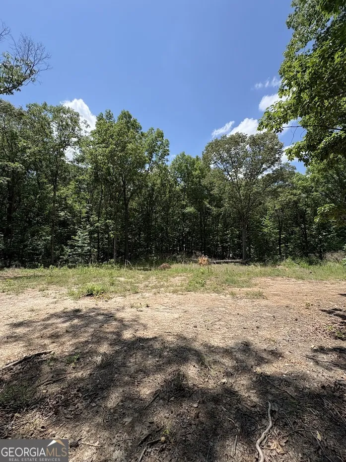 4492 U.S. 78 Tallapoosa, GA 30176