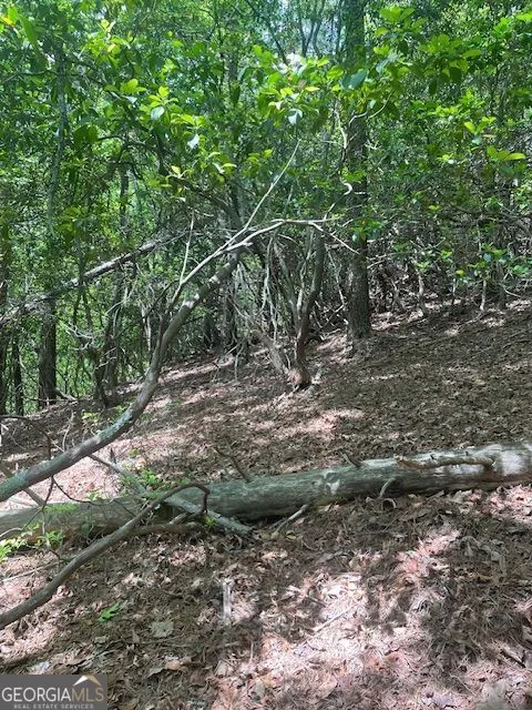 LOT 13 Woodbrier Sautee Nacoochee, GA 30571