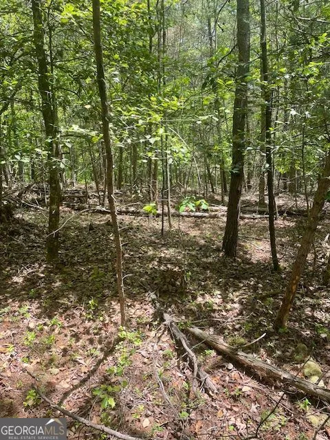 LOT 13 Woodbrier Sautee Nacoochee, GA 30571