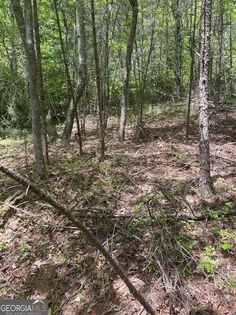 LOT 13 Woodbrier Sautee Nacoochee, GA 30571