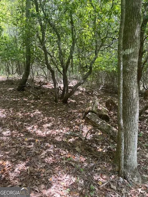 LOT 13 Woodbrier Sautee Nacoochee, GA 30571