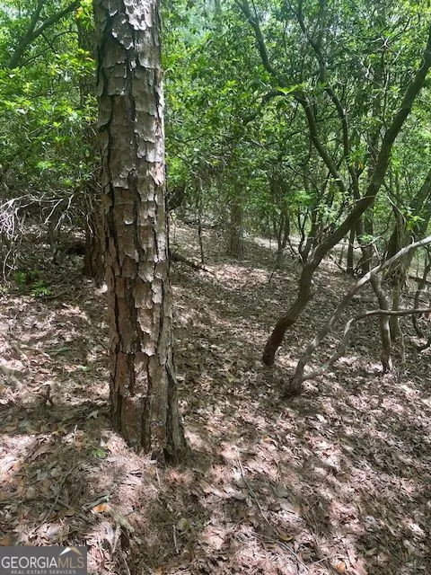 LOT 13 Woodbrier Sautee Nacoochee, GA 30571