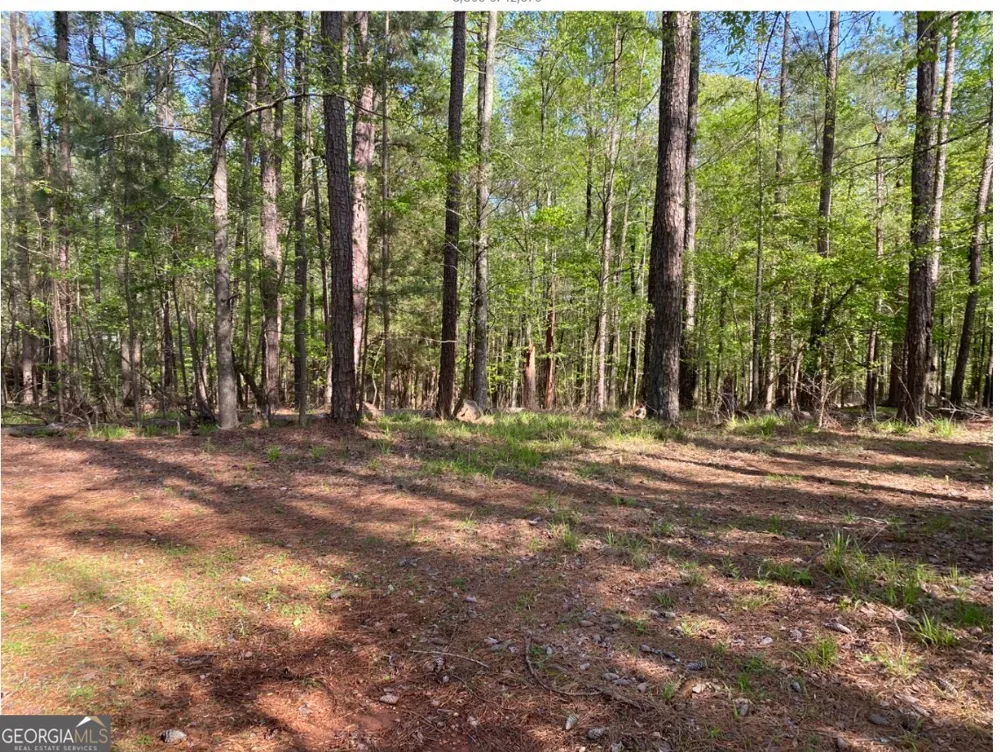 1021 Charles CT Greensboro, GA 30642