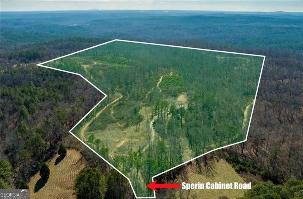 170 Sperin Cabinet Shop RD Ball Ground, GA 30107