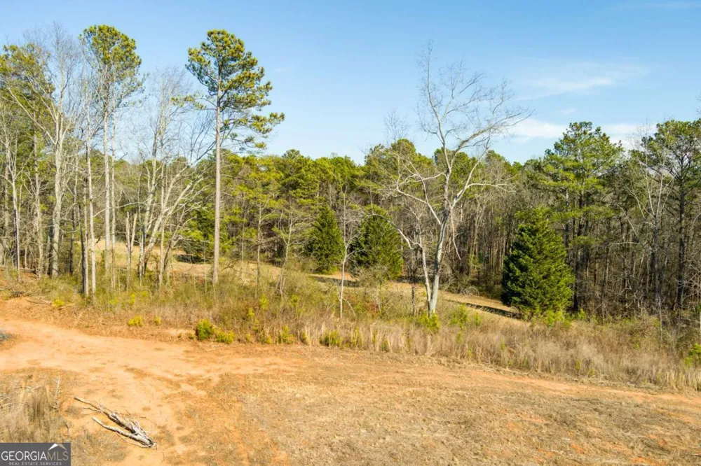170 Sperin Cabinet Shop RD Ball Ground, GA 30107