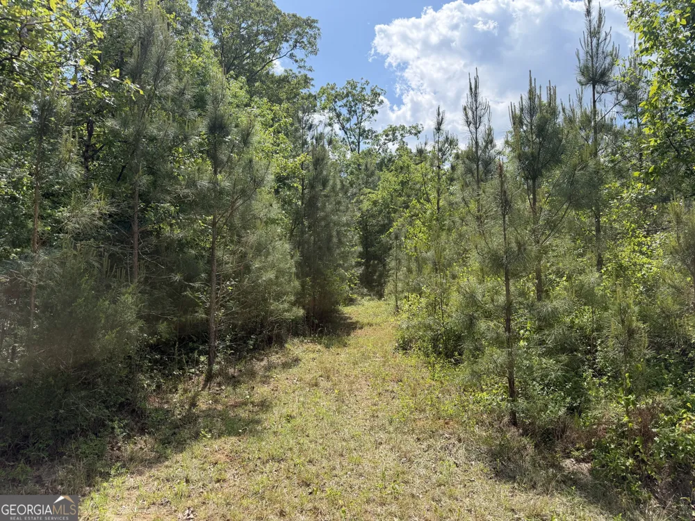 001 George Milling RD Cuthbert, GA 39840