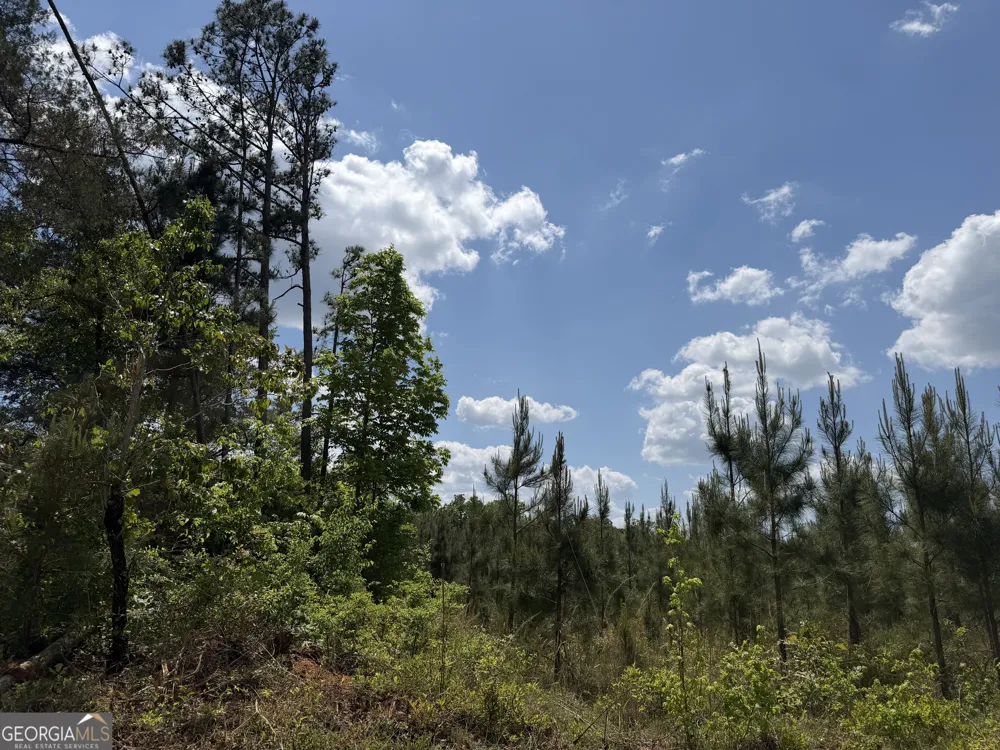 001 George Milling RD Cuthbert, GA 39840
