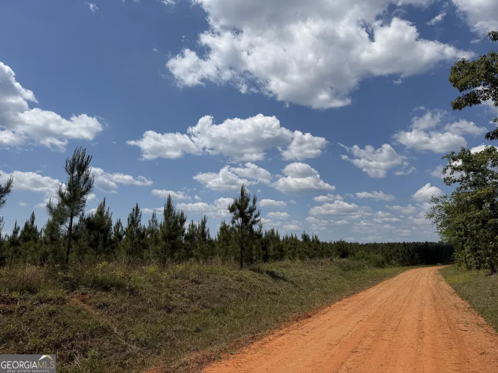 001 George Milling RD Cuthbert, GA 39840