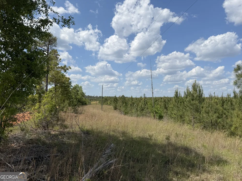 001 George Milling RD Cuthbert, GA 39840