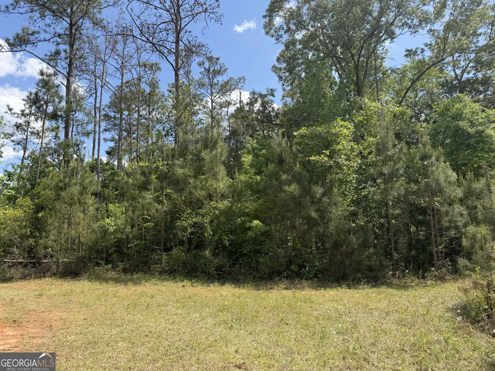 001 George Milling RD Cuthbert, GA 39840
