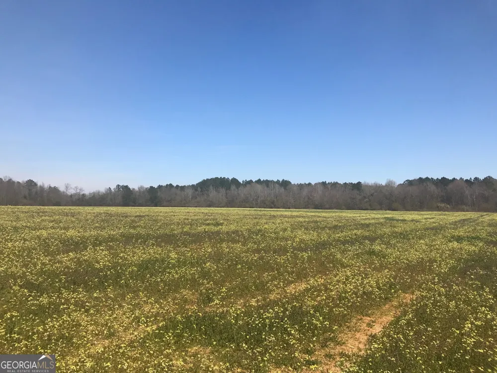 0 Tucker Grove Church RD Wrightsville, GA 31096