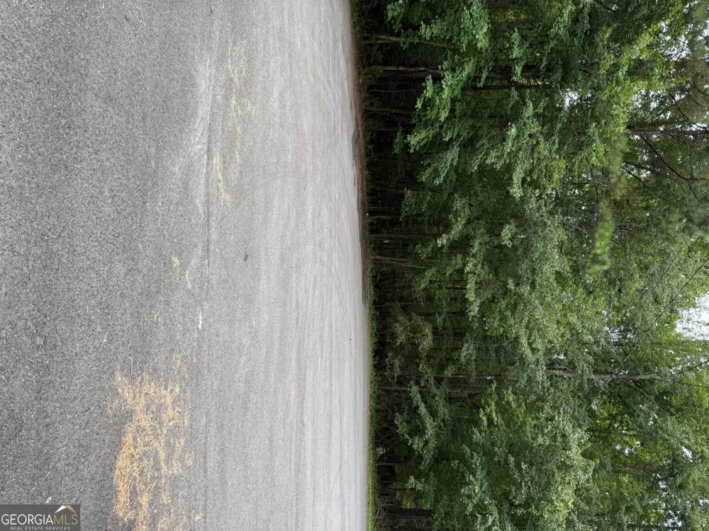 0 Maple TRL Sharpsburg, GA 30277