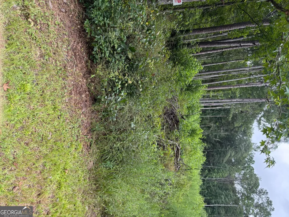 0 Maple TRL Sharpsburg, GA 30277