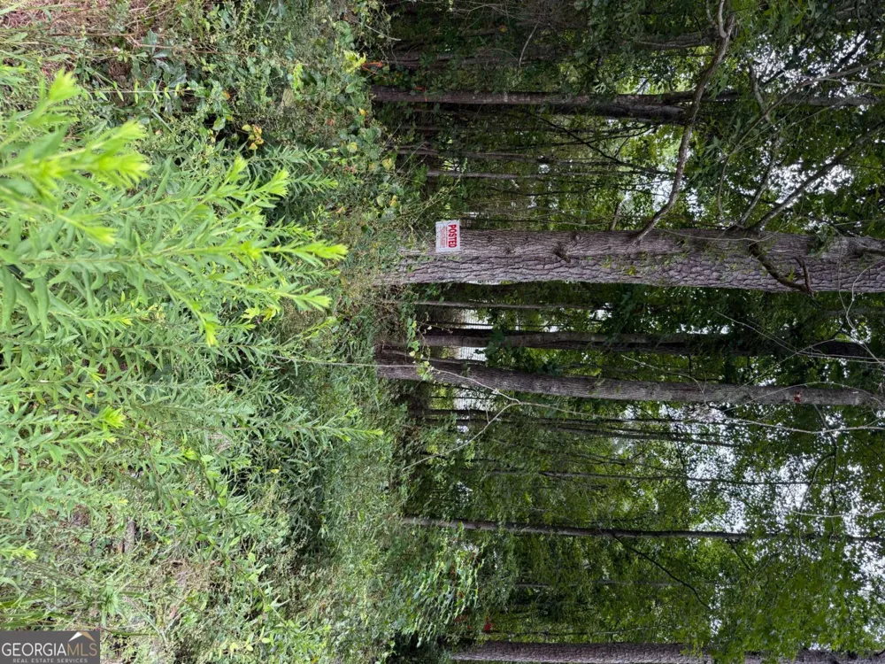 0 Maple TRL Sharpsburg, GA 30277